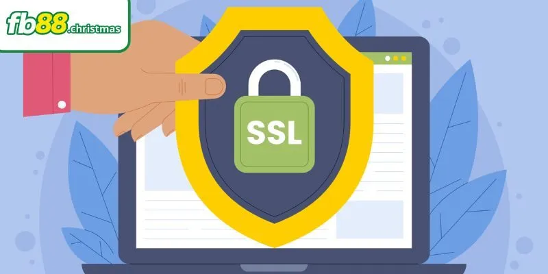 Nhà cái đi đầu ứng dụng mã hóa SSL 256-bit